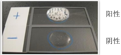 過氧化氫酶試驗(yàn)圖片