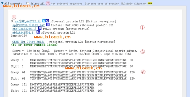 NCBI BLAST比對結果詳細分析