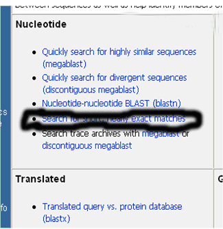 一步步教你利用Blast分析驗(yàn)證引物序列