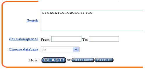 一步步教你利用Blast分析驗(yàn)證引物序列