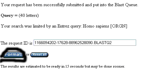一步步教你利用Blast分析驗(yàn)證引物序列