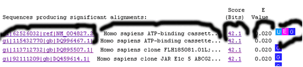 一步步教你利用Blast分析驗(yàn)證引物序列